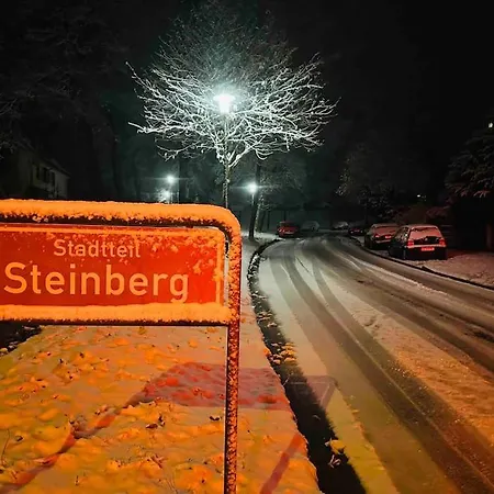 Fewo Am Steinberg Goslar Exterior photo